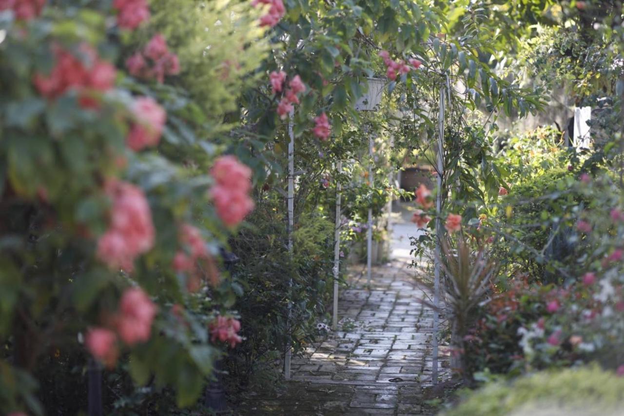 Le Jardin De Maejo Bed & Breakfast Chiang Mai Exterior foto